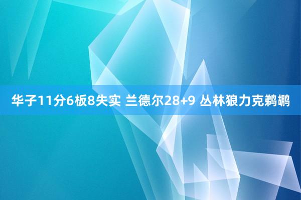 华子11分6板8失实 兰德尔28+9 丛林狼力克鹈鹕